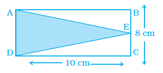 Page 338 Chapter 11 Class 8th NCERT Exemplar